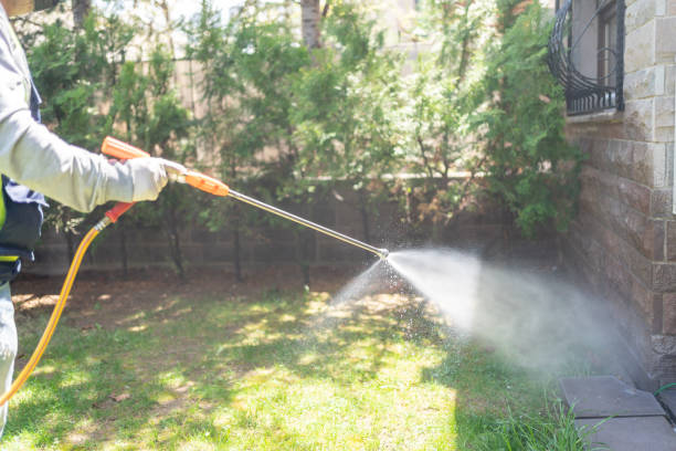 Emergency Pest Control Services in Menasha, WI